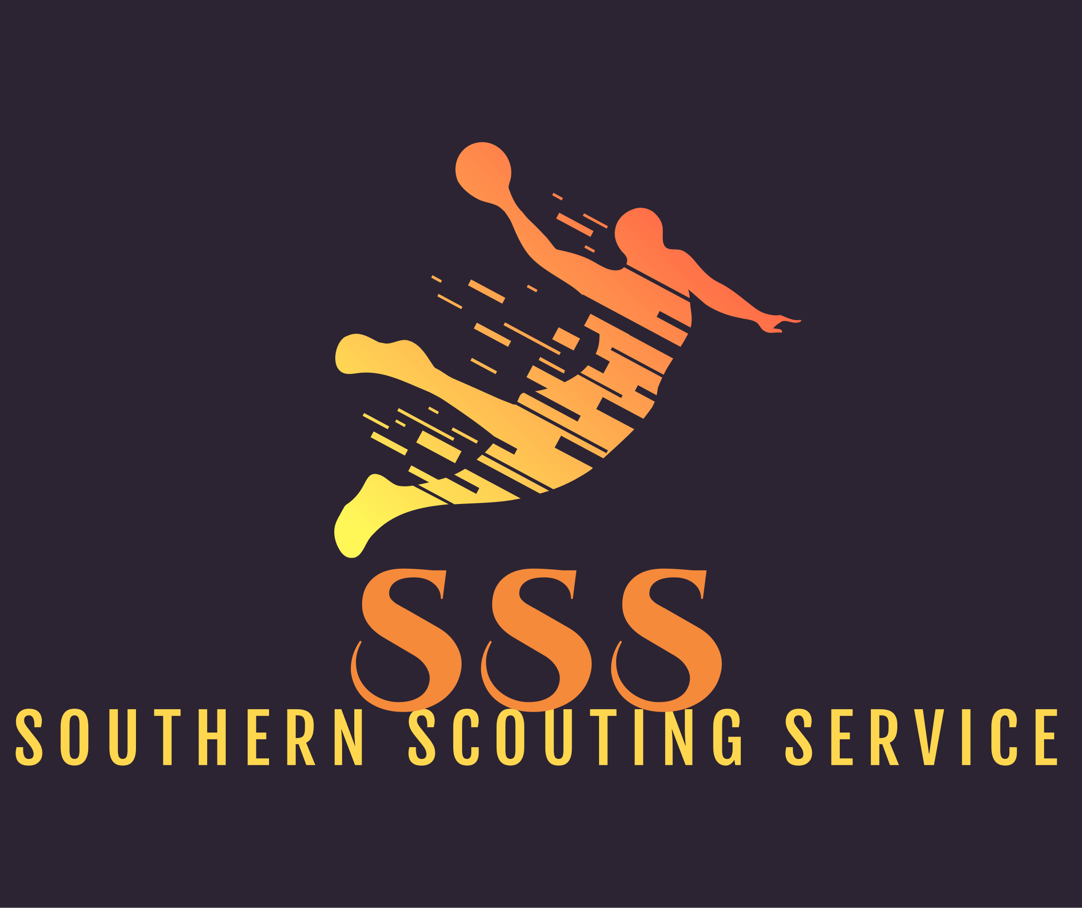 Southern Scouting Sevices